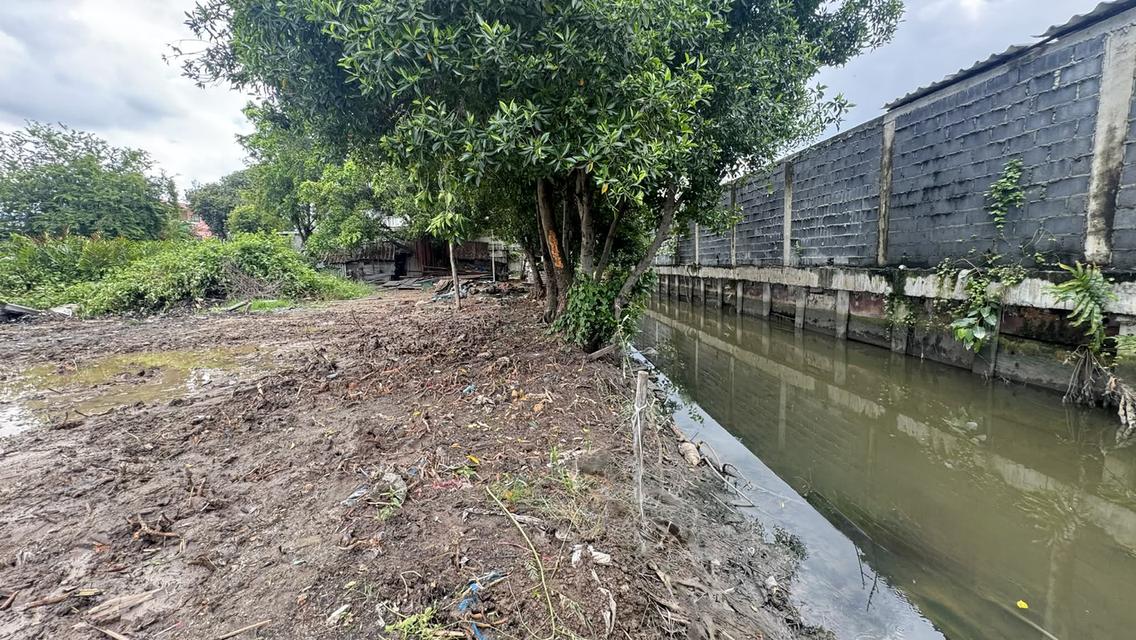 ขายที่ดิน 67.8 ตรว สุขสวัสดิ์ 78 ซอยวัดชังเรือง คู่สร้าง-คู่สม โครงการ3 ซอย 4/3 ราคาถูก ใกล้ตลาดคู่สร้าง 5