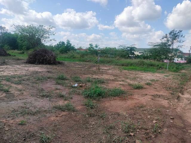 ขายที่ดินถมแล้ว 2 ไร่ ทำเลทอง หน้ามหาวิทยาลัยอุบลราชธานี เหมาะทำหอพัก / อพาร์ตเมนต์ 6