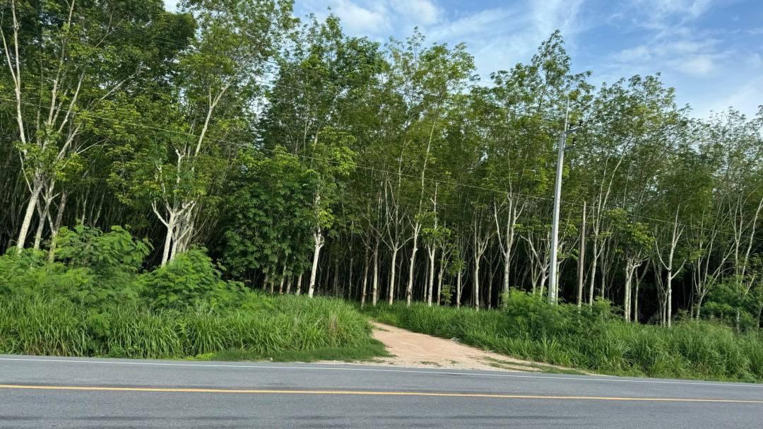 ขายที่ดินระยอง นิคมพัฒนา 48-3-72 ไร่ พื้นที่สีม่วงลาย ใกล้นิคมอมตะซิตี้โซนจีน เหมาะสำหรับทำ โรงงาน โกดัง คลังสินค้า บ้าน 3