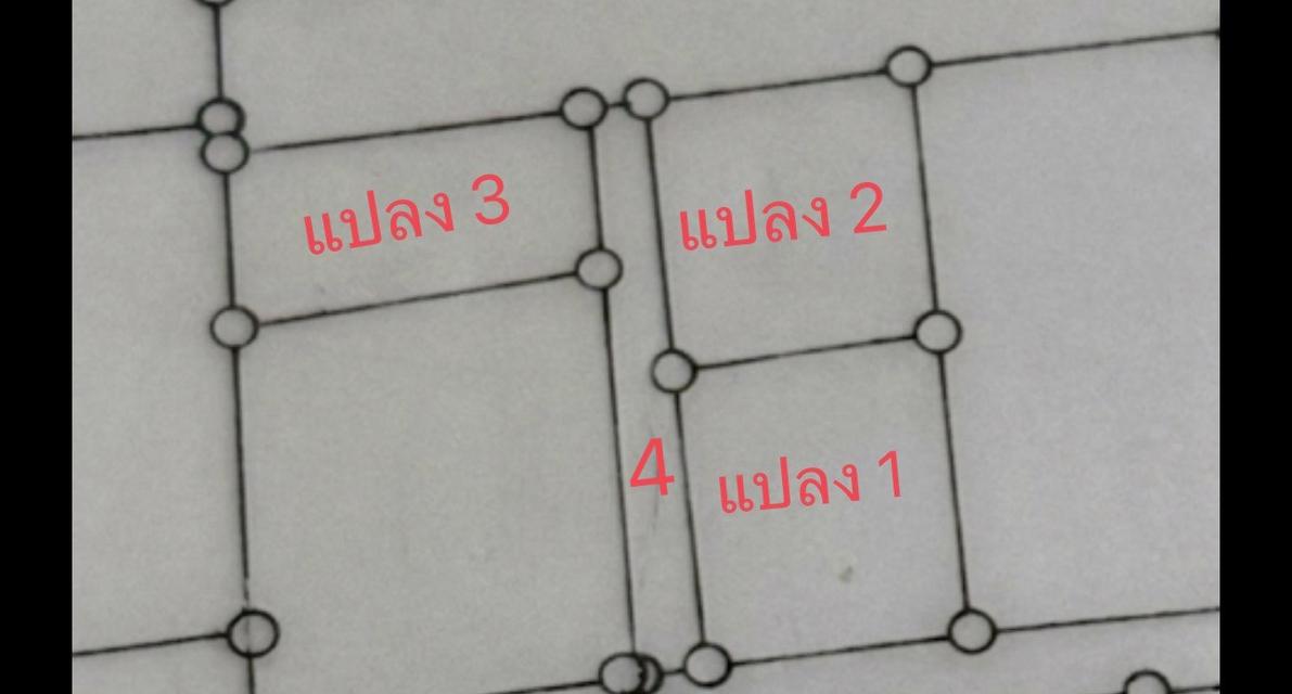 ขายด่วน! ที่ดินพร้อมอาคารโกดัง มีชั้น ลอย 148 ตร.ว. ทำเลสามพราน (ใกล้เพชรเกษม) **ราคาเพียง 4,500,000 บาท** (โฉนดครุฑแดง ปลอดภาระ พร้อมโอนทันที) ทำ 4