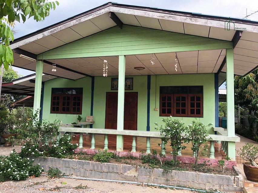 ขายบ้านพร้อมที่ดิน 200 ตร.ว ไทรน้อย นนทบุรี 1