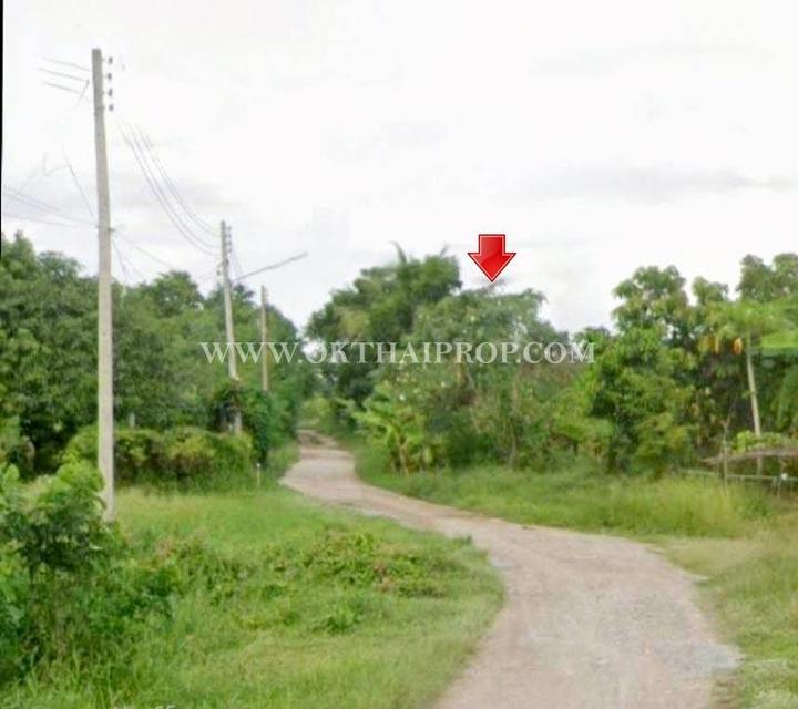 ที่ดินสวย ใกล้โรงพยาบาลพัฒนานิคม อ.พัฒนานิคม จ.ลพบุรี 1