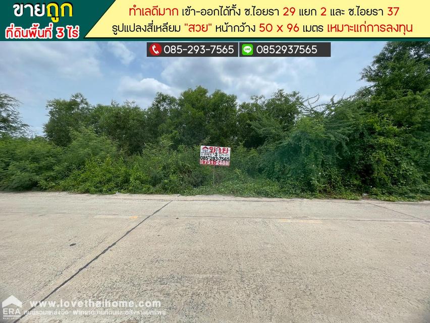 ขายที่ดิน ซอยไอยรา29 แยก2 คลองหลวง คลอง2 พื้นที่ 3 ไร่ ทำเลดี ราคาถูก เหมาะแก่การลงทุน 1