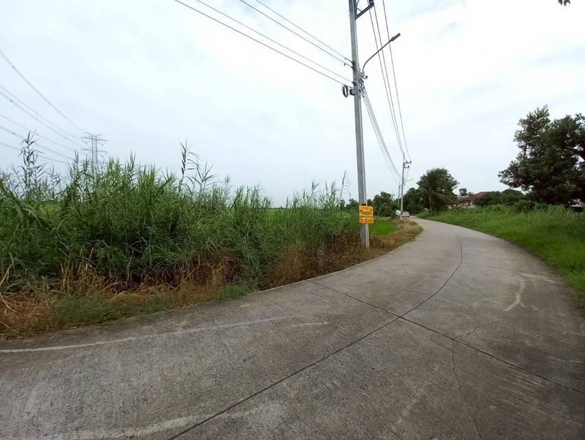 ขายที่ดินเปล่า ซอยบางคูวัด-บางบัวทอง4 (ซอยคลองบุ้ง) ถนน345 3