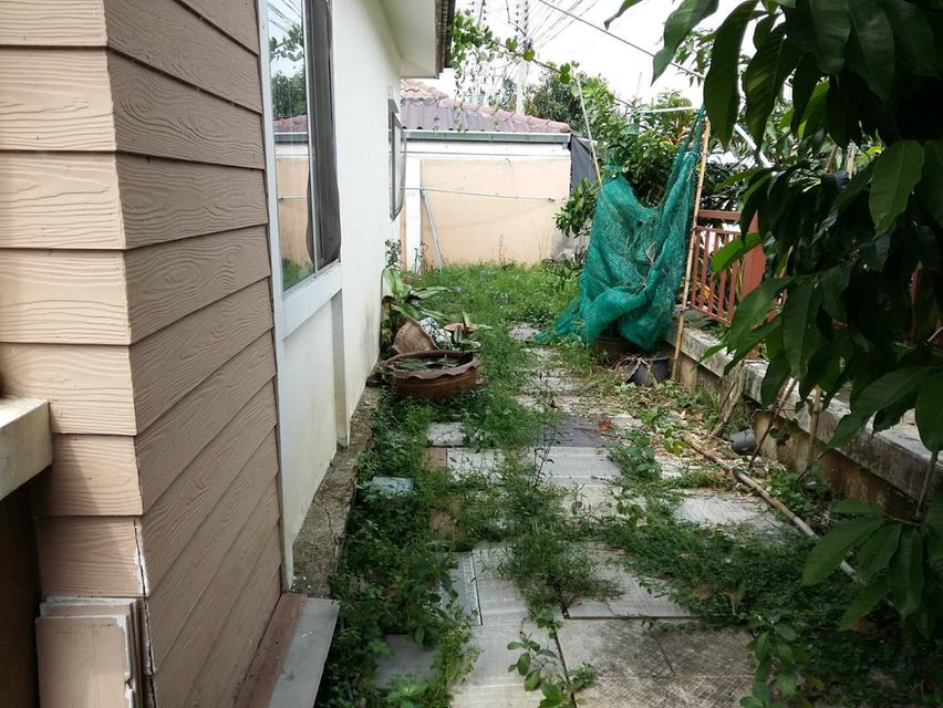 ขายทาวน์เฮ้าส์ชั้นเดียว ราคาไม่ถึงล้าน หมู่บ้านพฤกษาพนาลี 36 ฉะเชิงเทรา 10