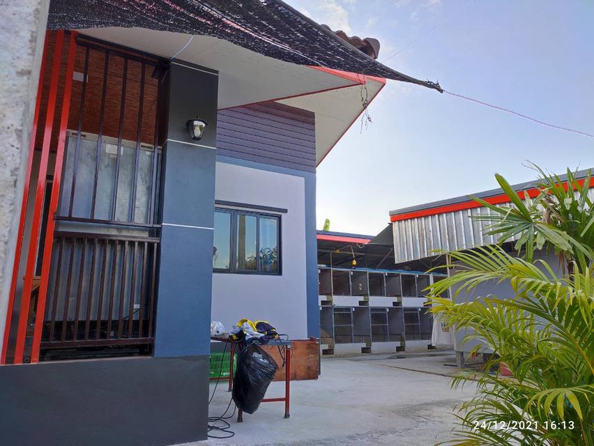 บ้านเดี่ยว 100 ตารางวาหนองจอกเชื่อมสัมพันธ์ 22 2