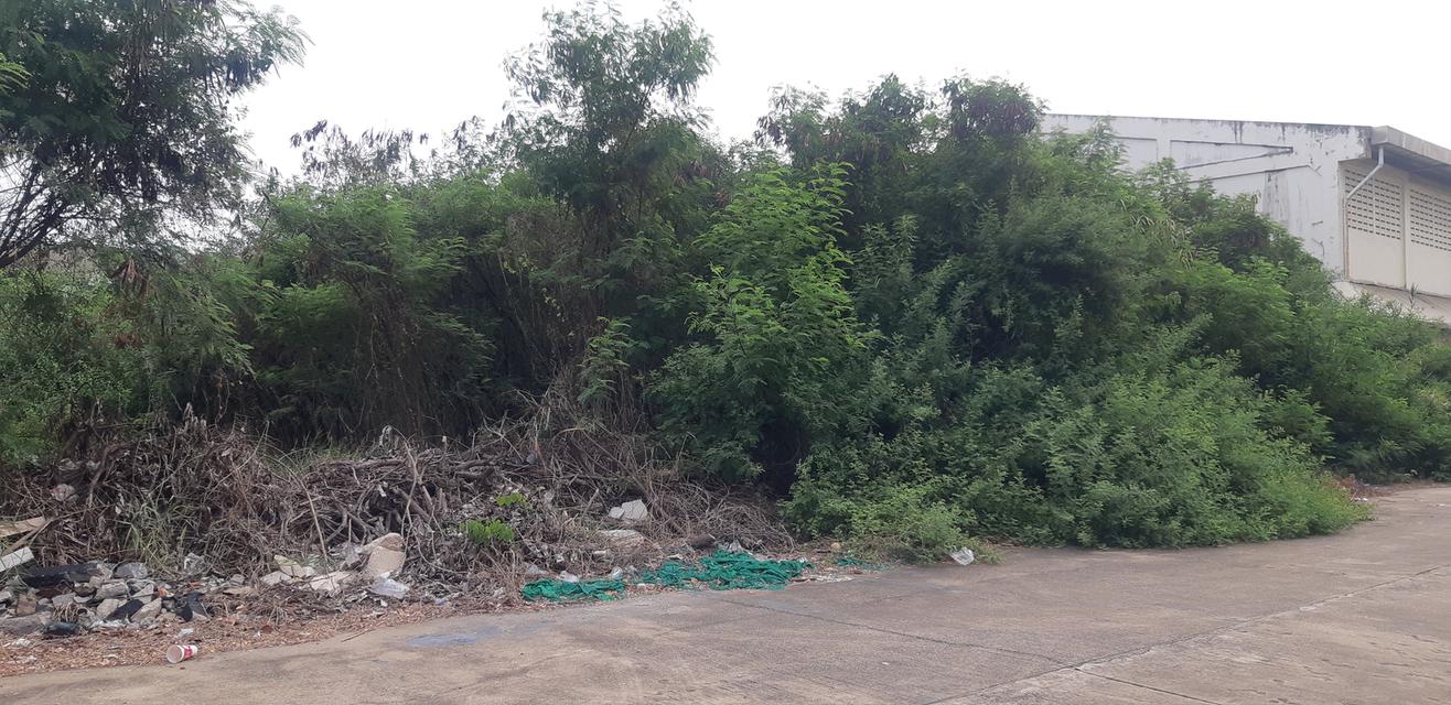 ขายที่ดินโครงการโกลเด้น แฟคทอรี่  ที่ดินจำนวน  2 – 2 - 91 ไร่ 5