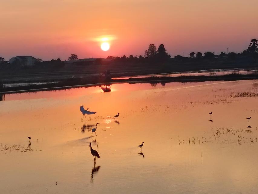 ภาพถ่ายจากศิลปิน JACKTHAI