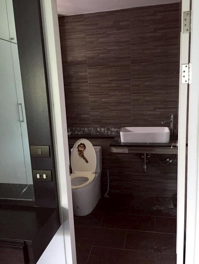 ขายบ้านแสนราญโมดชิด เชียงใใหม่ 15