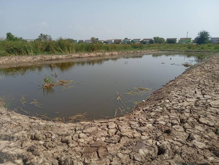 ขายที่ดินเปล่า 2 ไร่ ติดถนนคอนกรีต ซอยเทศบาลบางปู 83 6