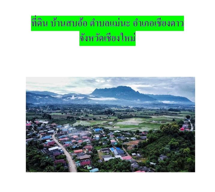 ขายที่ดินอ.เชียงดาว​ จ.เชียงใหม่ 1