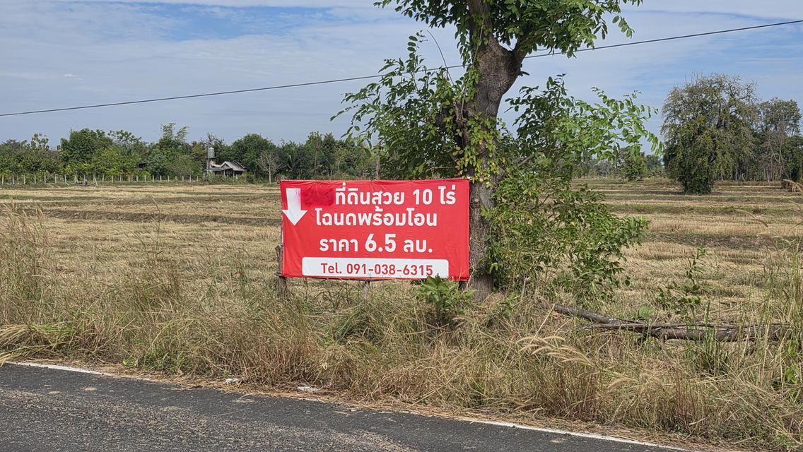 ขายที่ดิน 10 ไร่ อ.ลำปลายมาศ จ.บุรีรัมย์ 6.5 ล้าน 4