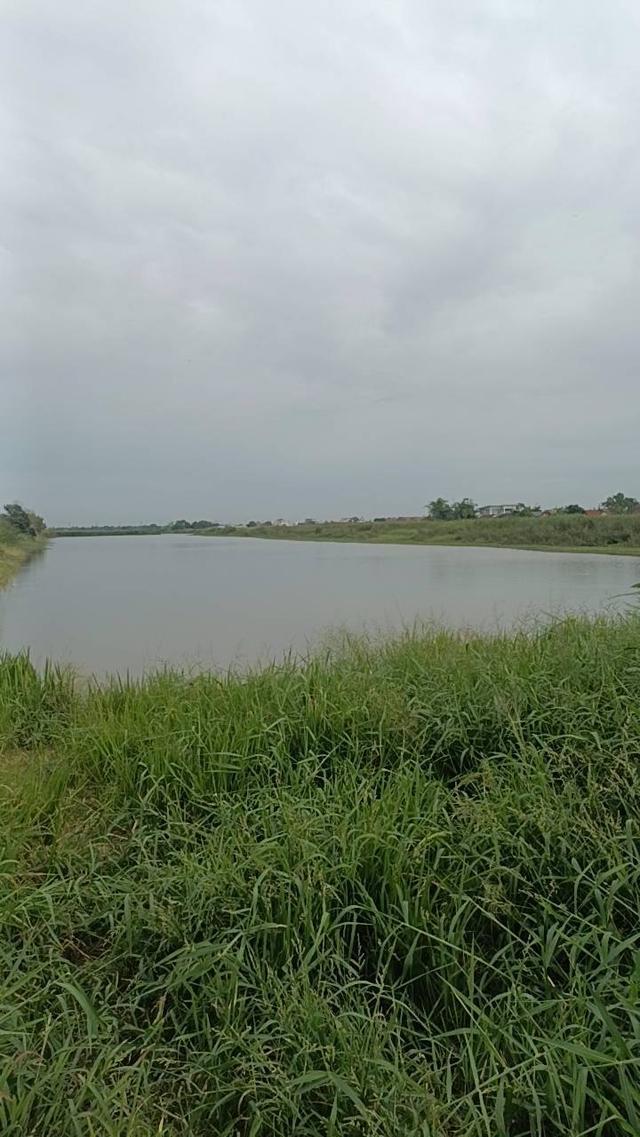 ที่ดินติดถนนลาดกระบัง 3