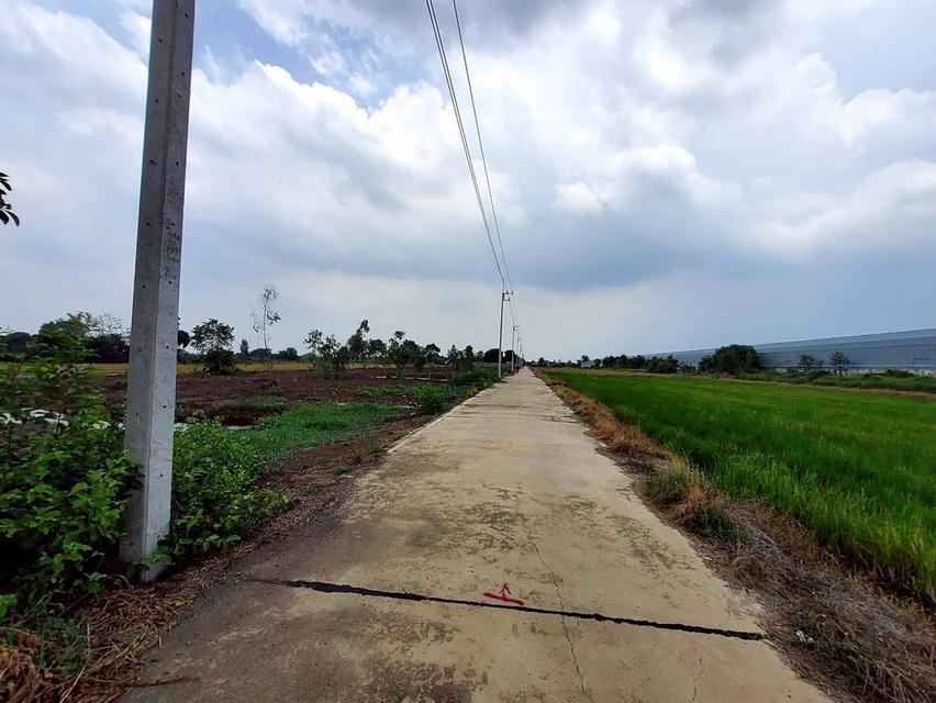 ขายด่วนที่ดิน 6 ไร่ ติดถนนคอนกรีต แบ่งได้ ซ.คลองสาม14/7 คลองหลวง ปทุมธานี 6