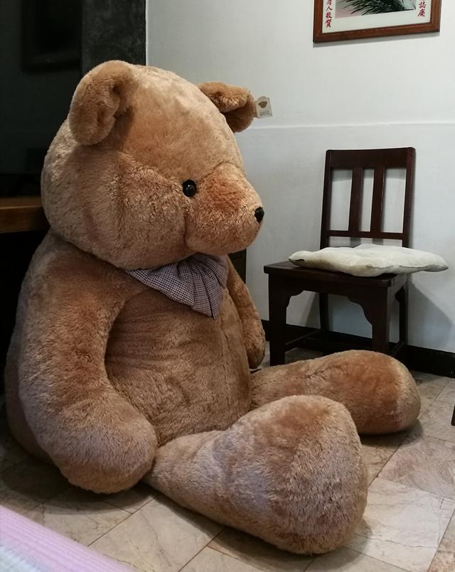 ส่งต่อพี่หมีตัวใหญ่ ของTeddy house ไม่มีที่วาง ใหม่มากห่อคลุมกันฝุ่นไว้ตลอด 1