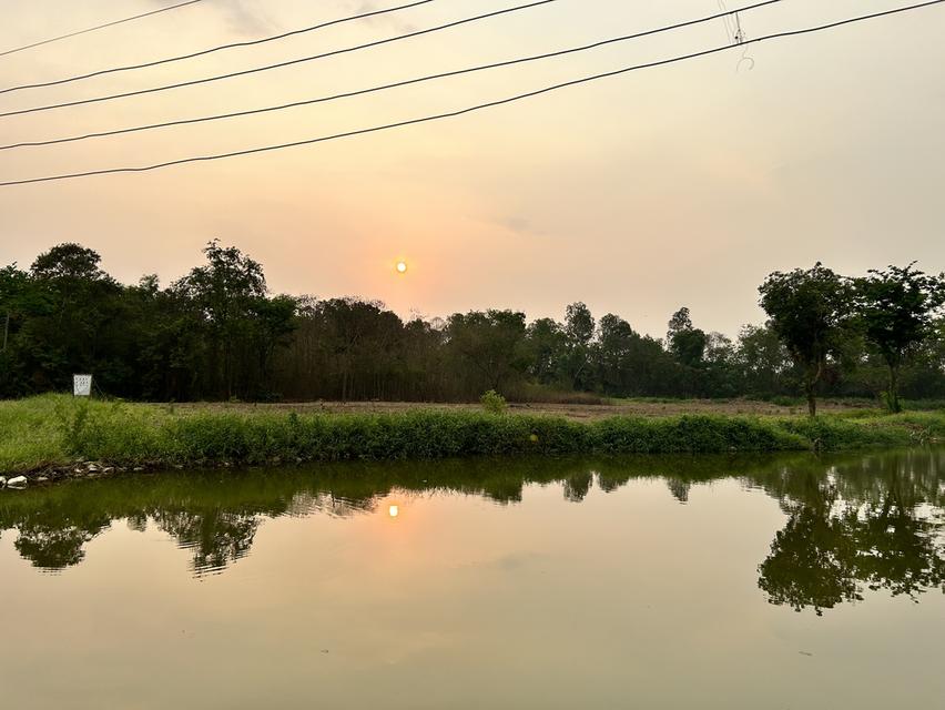 ที่ดิน บ้าน พร้อมโกดัง  14