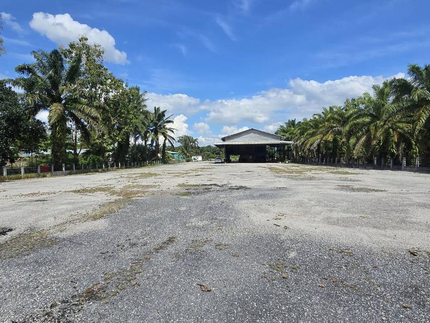 ที่ดินพร้อมโกดังและสำนักงาน 4