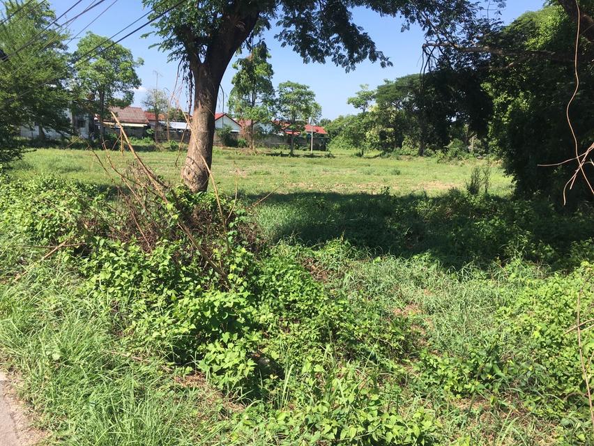 ขายที่ดินถมแล้ว 60 ไร่ เจ้าเดียว ทำเลทองฝังเพชร หน้าติดพหลโยธิน(๑) 106 เมตร ถนนสายกรุงเทพ-ลำปาง-เชียงใหม่-เชียงราย เหนือ