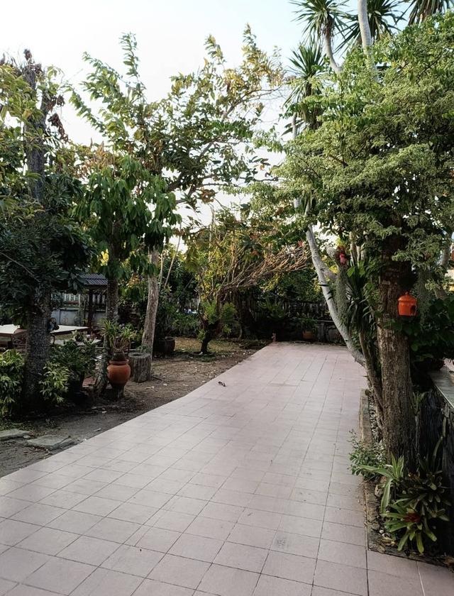 บ้านเดี่ยวให้เช่าใกล้ทะเล บรรยากาศดี ศรีราชา ชลบุรี 3