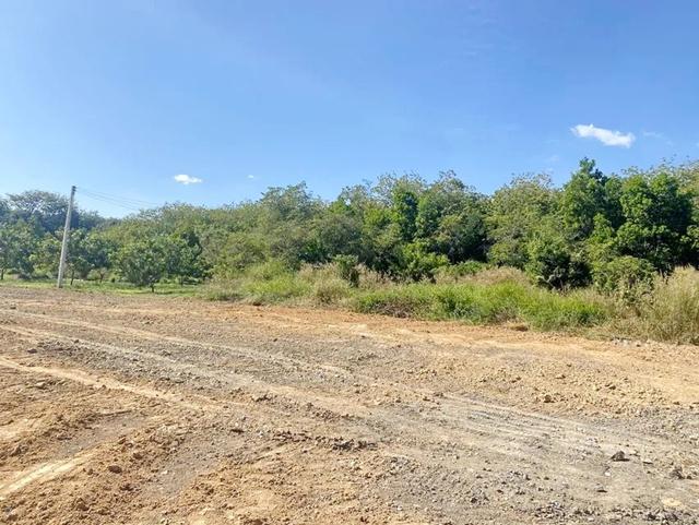 ให้เช่าที่ดินระยอง 4ไร่หรือ1,600 ตร.วา. ทำเลแม่น้ำคู่ ปลวกแดง นิคมอุตสาหกรรมอีสเทิร์นซีบอร์ด 2.8 กม.หน้ากว้างติดถนนลาดยา 7