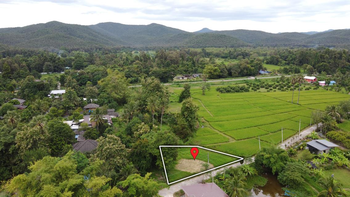 ที่ดิน 160 ตร.ว. ถมแล้ว น้ำ-ไฟ-พร้อม วิวทุ่งนาสวยๆ