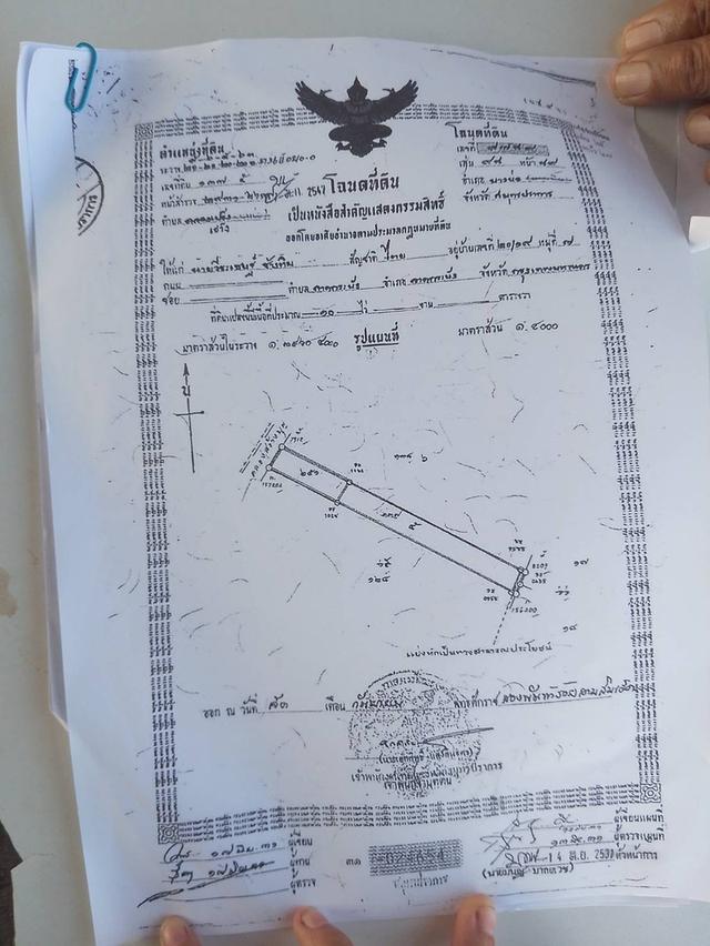 ขายที่บ่อปลา ขนาด 10 ไร่ ราคาไร่ละ  2.5 ล้าน ด่วน 1