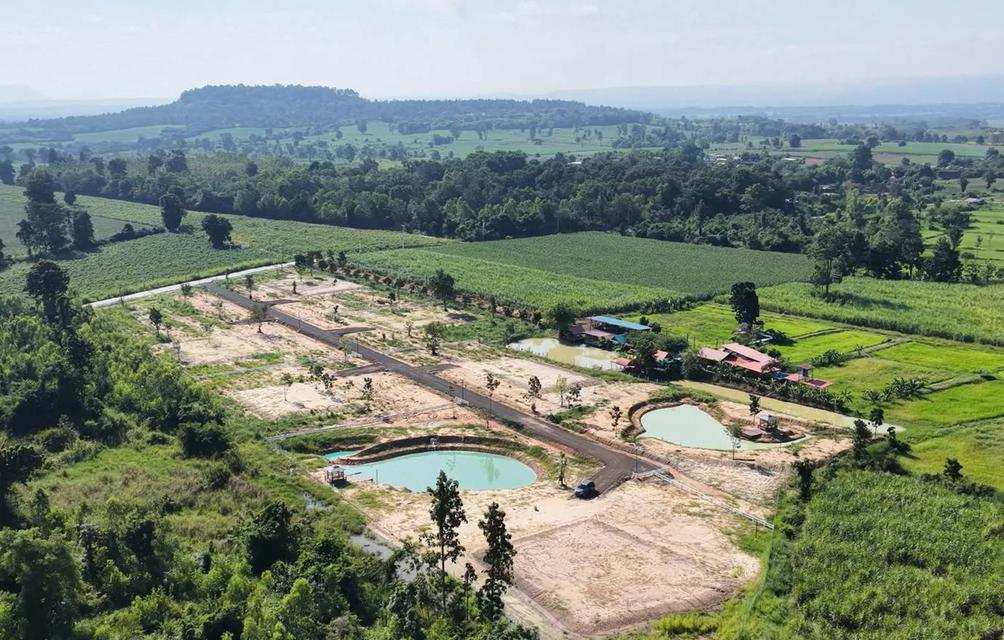 แปลงสุดท้ายแล้วนะ ที่ดิน วิวภูเขาวังน้ำเขียว เนื้อที่ 3 ไร่ 1 งาน 31.8 ตรว. พร้อมสระน้ำรูปปลาวาฬ ปักธงชัย โคราช 5