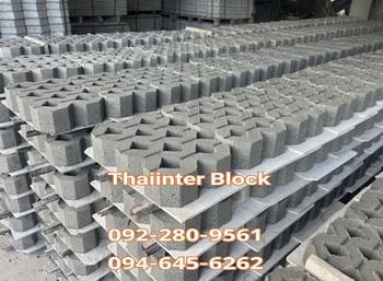 บล็อกปูพื้น บล็อกปูถนน  บล็อกตัวหนอน บล็อกแปดเหลี่ยม แผ่นทางเท้า 092-280-9561 / 094645-6262 www.thaiinterblock.com 14