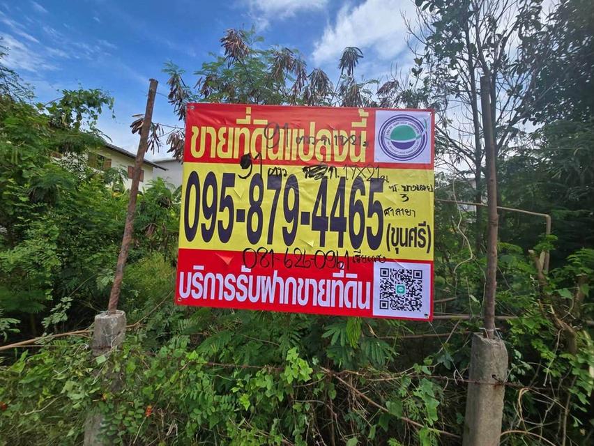 ขายด่วนที่ดินใกล้เซ็นทรัลศาลายา 91 ตรว ติดถนนคอนกรีตสาธารณะ ถมแล้ว ซ.หอถังประปา รพช. อ.พุทธมณฑล จ.นครปฐม 13