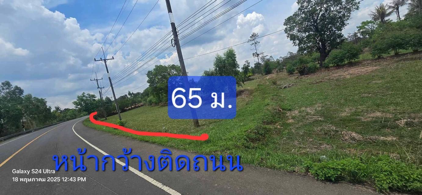 ขายที่ดินที่นา 4