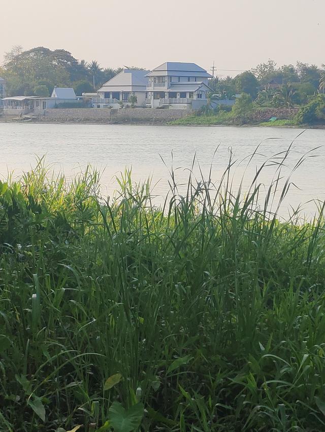 ที่ดินติดถนนติดริมแม่น้ำแม่กลอง 1