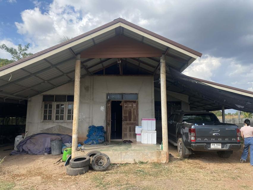 ขายบ้านเดี่ยวพร้อมที่ดิน เนื้อที่ 183 ตร.ว. บ้านนาคลอง อ.เมือง จ.หนองคาย 6