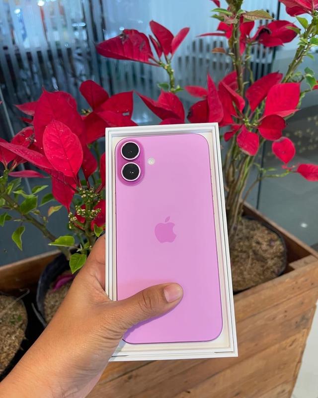 iPhone 16 plus สีชมพู 3