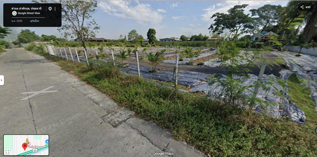 ที่ดินคลอง 9 ธัญบุรี 17