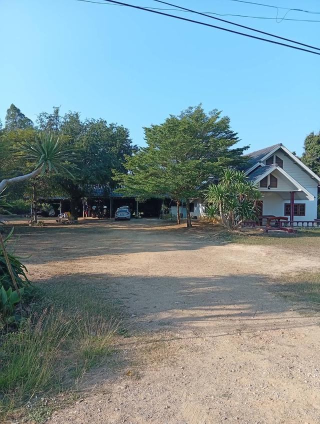 ขายบ้านพร้อมที่ดิน แปลงสวย พร้อมสวนส้มโอ–มะกรูด 3