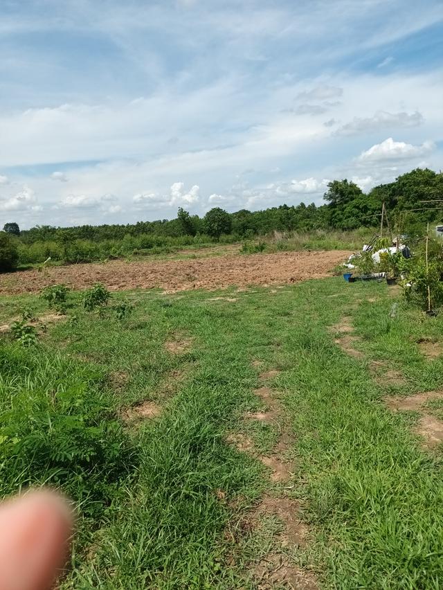 ขายที่ดินเขาหินซ้อน อำเภอพนมสารคาม ฉะเชิงเทรา 8