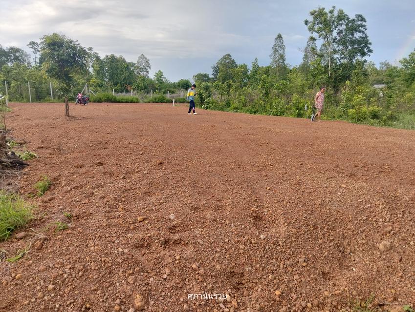 ขายที่ดินเปล่า 1งาน ต.ท่าแร่ สกลนคร 3