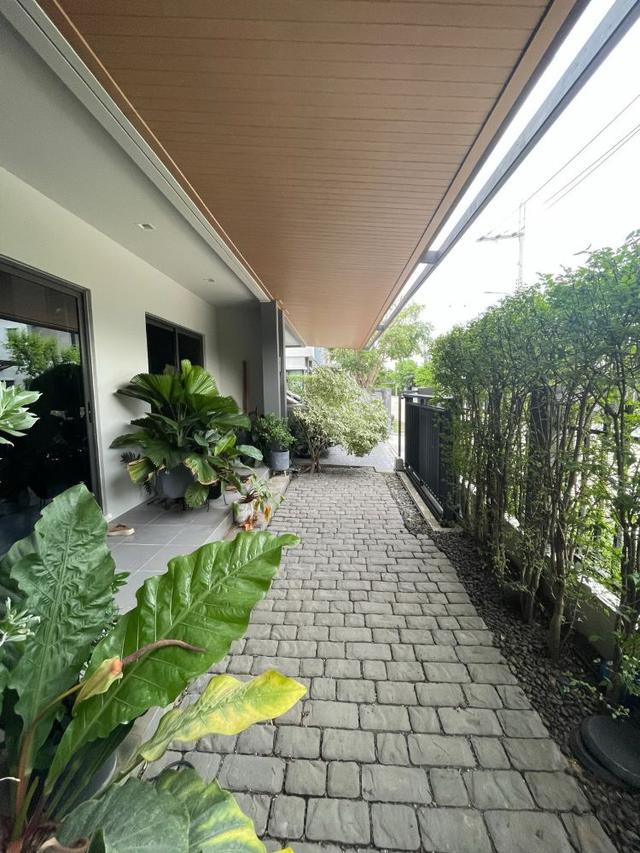 ขายบ้านเดี่ยว เวนิว ไอดี พระราม 5 ตกแต่งสวย พร้อมเข้าอยู่ ใกล้รถไฟฟ้าสายสีแดง สถานีบางบำหรุ 5 นาทีถึง 7