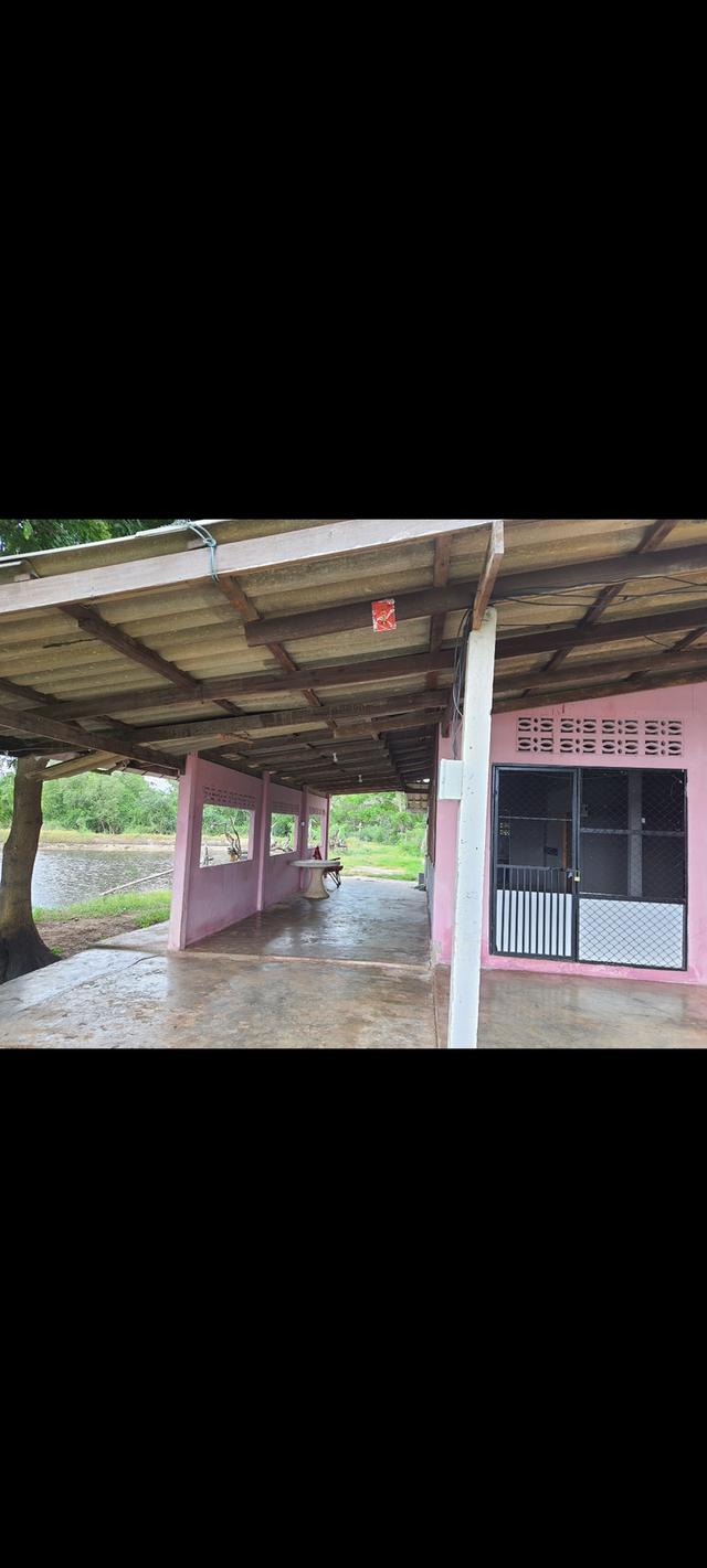 ให้เช่าบ้านพร้อม ที่ดิน12ไร่ บ้านพร้อมบ่อเลี้ยง ..ต.ชากพง อ.แกลง จ.ระยอง ใกล้ทะเลแหลมแม่พิม 4