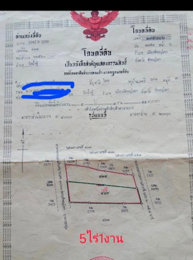 ที่ดิน5ไร่1งาน55ตรว. 2
