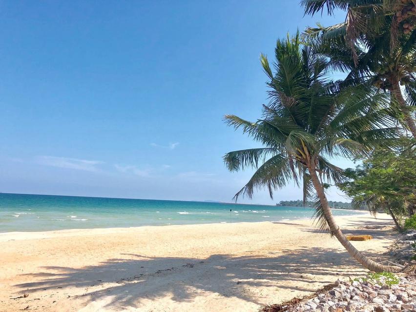 ที่ดินชายทะเล หาดสะพลี จ.ชุมพร ราคาถูก 2
