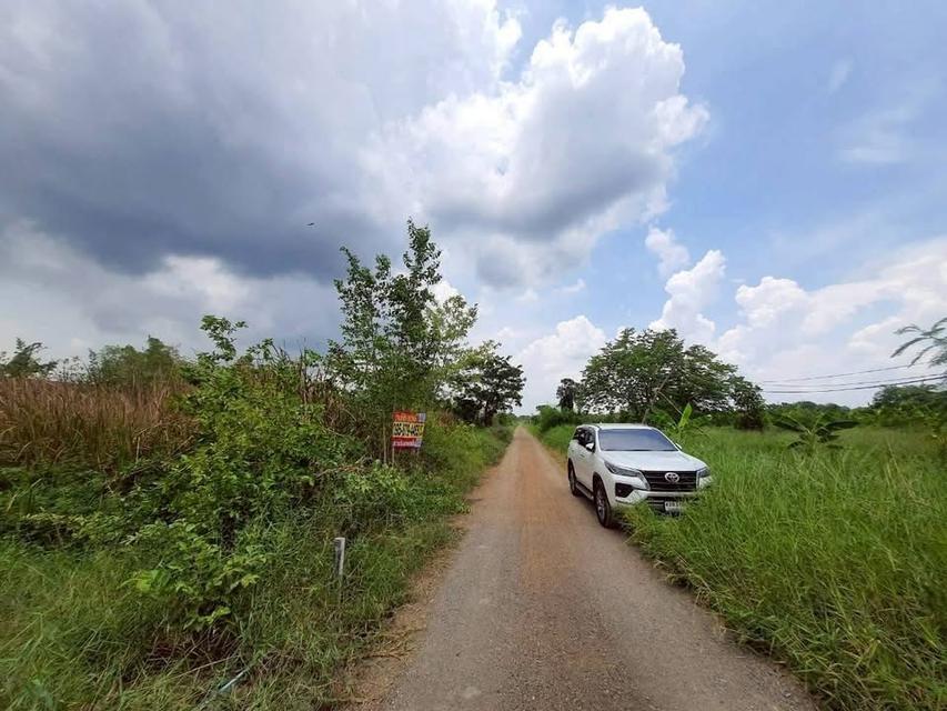 ขายถูกที่สุด ที่ดินทำเลดี 100 ตารางวา ติดถนนสาธารณะ ซอย คลองห้าตะวันออก 3 อ.คลองหลวง จ.ปทุมธานี 2