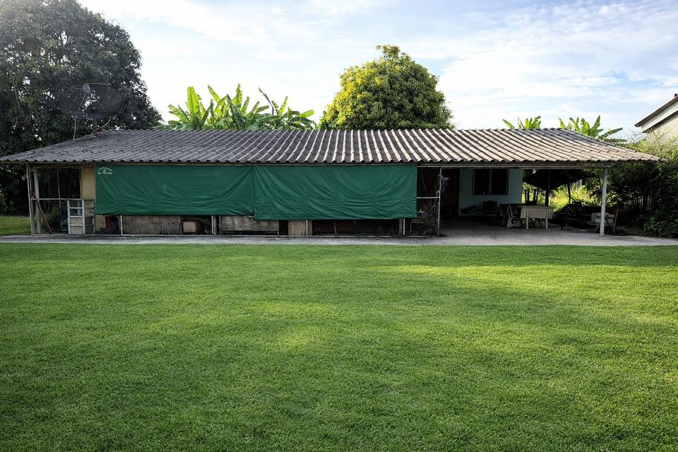 ขายบ้านสวนพร้อมที่ดิน 7