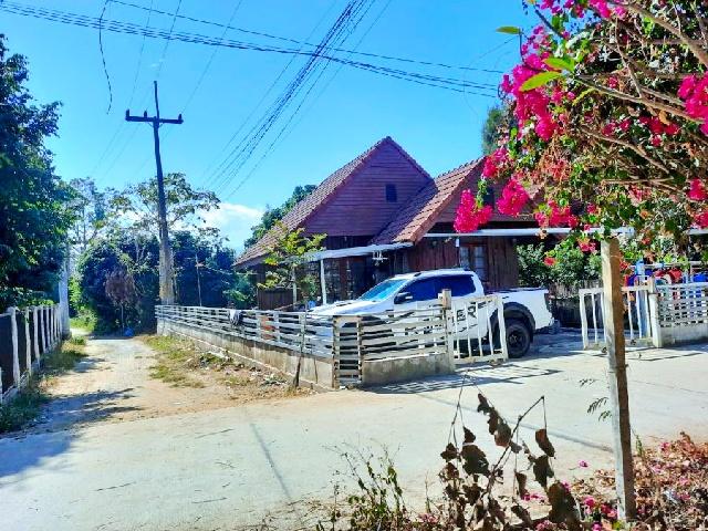 แม่ริม 2 นอน เทศบาลเมืองแม่โจ้ ให้เช่าบ้านเดี่ยว 1 ชั้น หลังมุม 62ตร.วา.242ตร.ม. ตลาดแม่ริมพลาซ่า 3 กม 1