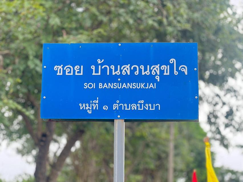 ขายที่ดินเปิดแปลงใหม่ คลอง 11 ตำบล บึงบา อำเภอ หนองเสือ ปทุมธานี 6