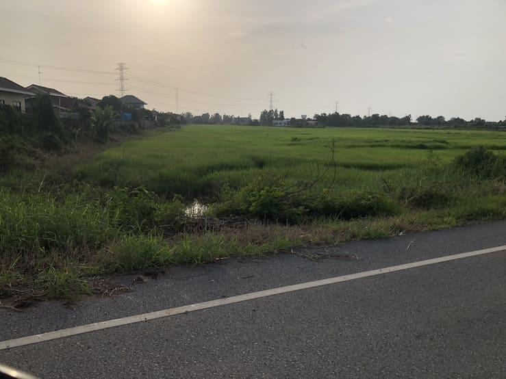 ขายที่ดินจัดสรร 150 ตรว. ขาย 370,000 บาท ตำบลวังทอง อำเภอวังทอง จังหวัดพิษณุโลก