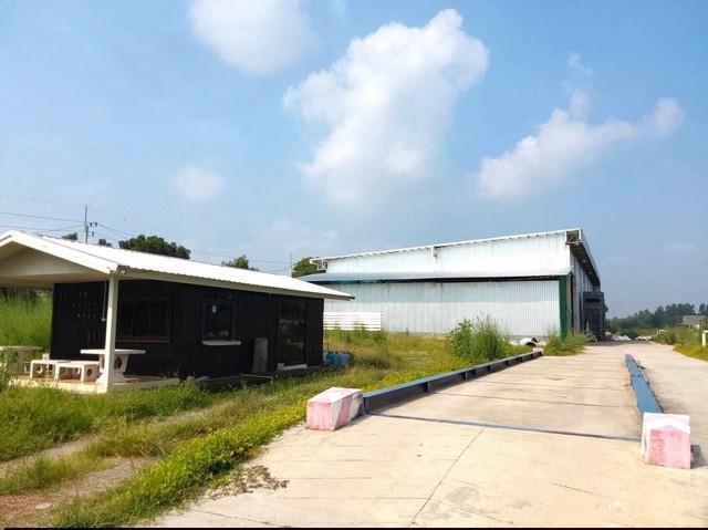 ขายโรงงานเกาะจันทร์ชลบุรี ขายที่ดินพร้อมโรงงาน/โกดังขนาดใหญ่ 19.8 ไร่ ในจังหวัดชลบุรี พื้นที่สีส้ม ท่าบุญมี เกาะจันทร์ชล 1