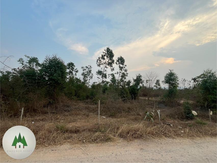 📣ขายที่ดินโฉนด ตำบลอ่างหิน อำเภอปากท่อ  จังหวัดราชบุรี ⛰️  เนื้อที่ 112 ไร่💰 ราคาไร่ละ 350,000 บาท 5
