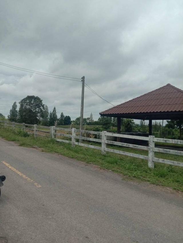 ที่ดินพร้อมบ้าน 4ไร่2งาน 3.2 ล้าน ห่างจากถนน 304 2กิโลเมตร ทางไปคลองสอง 8