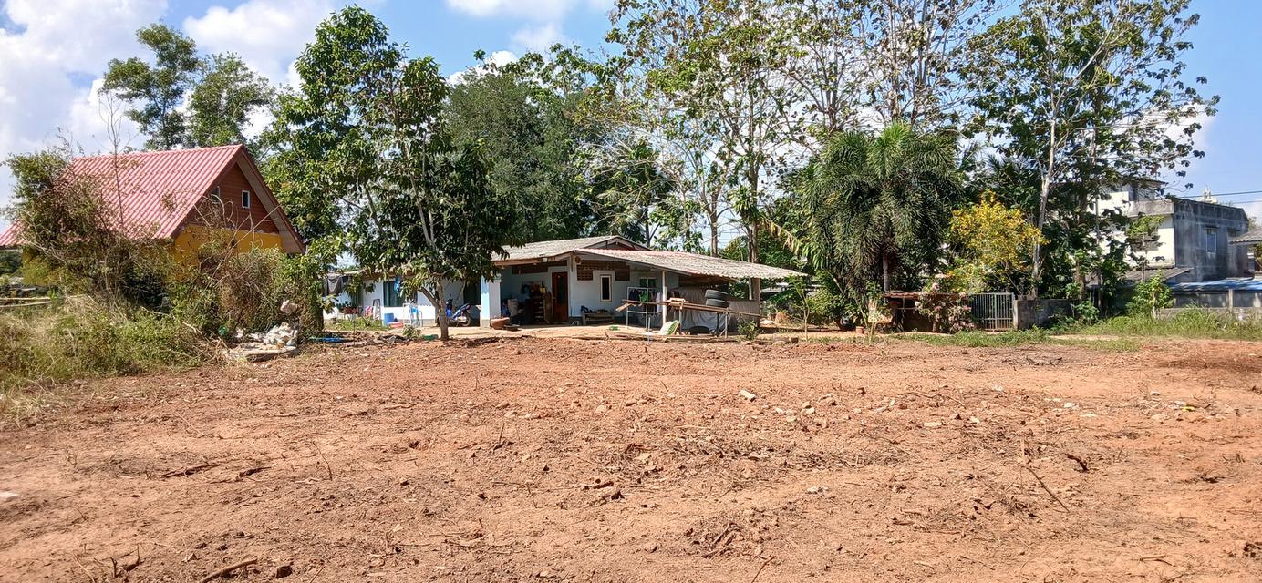 ขายที่ดินเปล่าโฉนด 1 งาน 15.9 ตร.ว. อยู่ในชุมชน ต.นาชะอัง อ.เมืองชุมพร ห่างศาลากลางจังหวัดเพียง 3 กม. ที่เนินปลอดภัยจากน้ำท่วม เจ้าของเองครับ 6